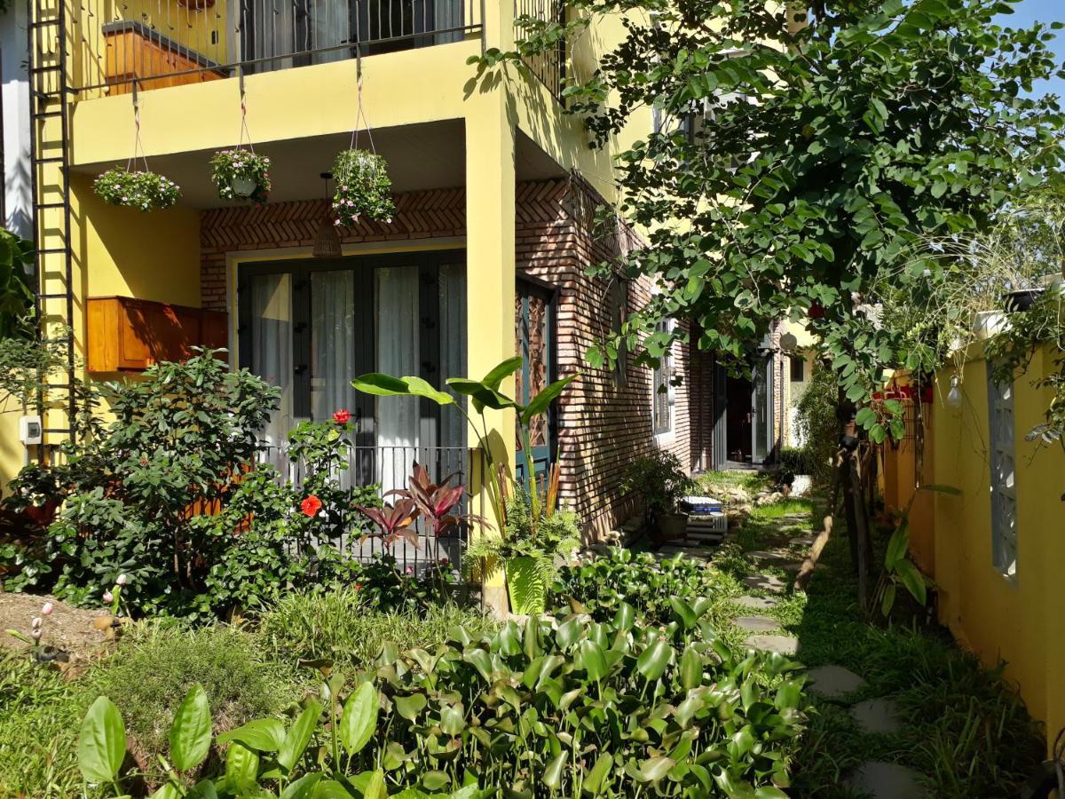 Pink Tulip Hoi An Hotel Екстериор снимка